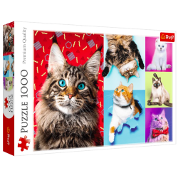 Puzzle 1000el. Wesołe koty